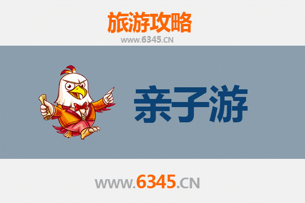 南平武夷山亲子游全攻略：茶香竹筏与自然探秘的完美假期