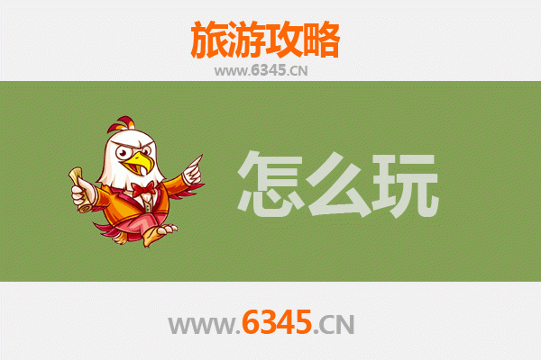 南平武夷山节假日旅游全攻略：山水茶韵与人文体验